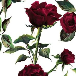 Meet your Posher, Cassandra